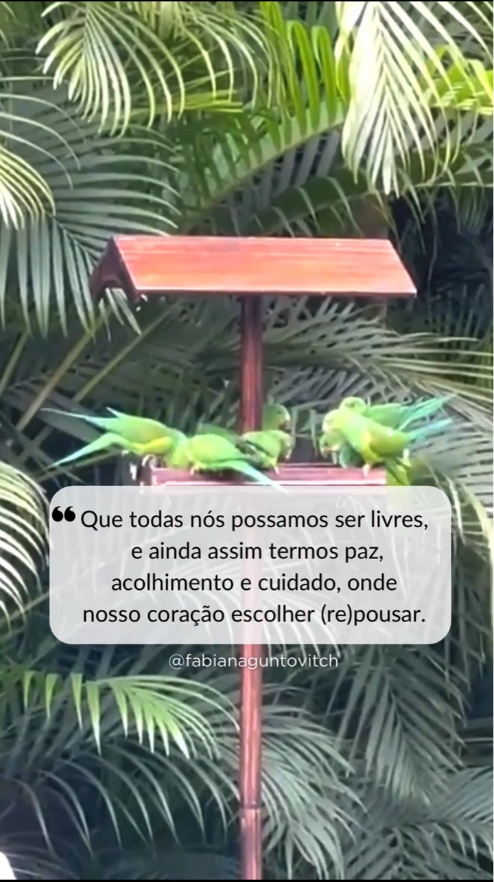 Ter a liberdade de estar onde escolhemos estar!