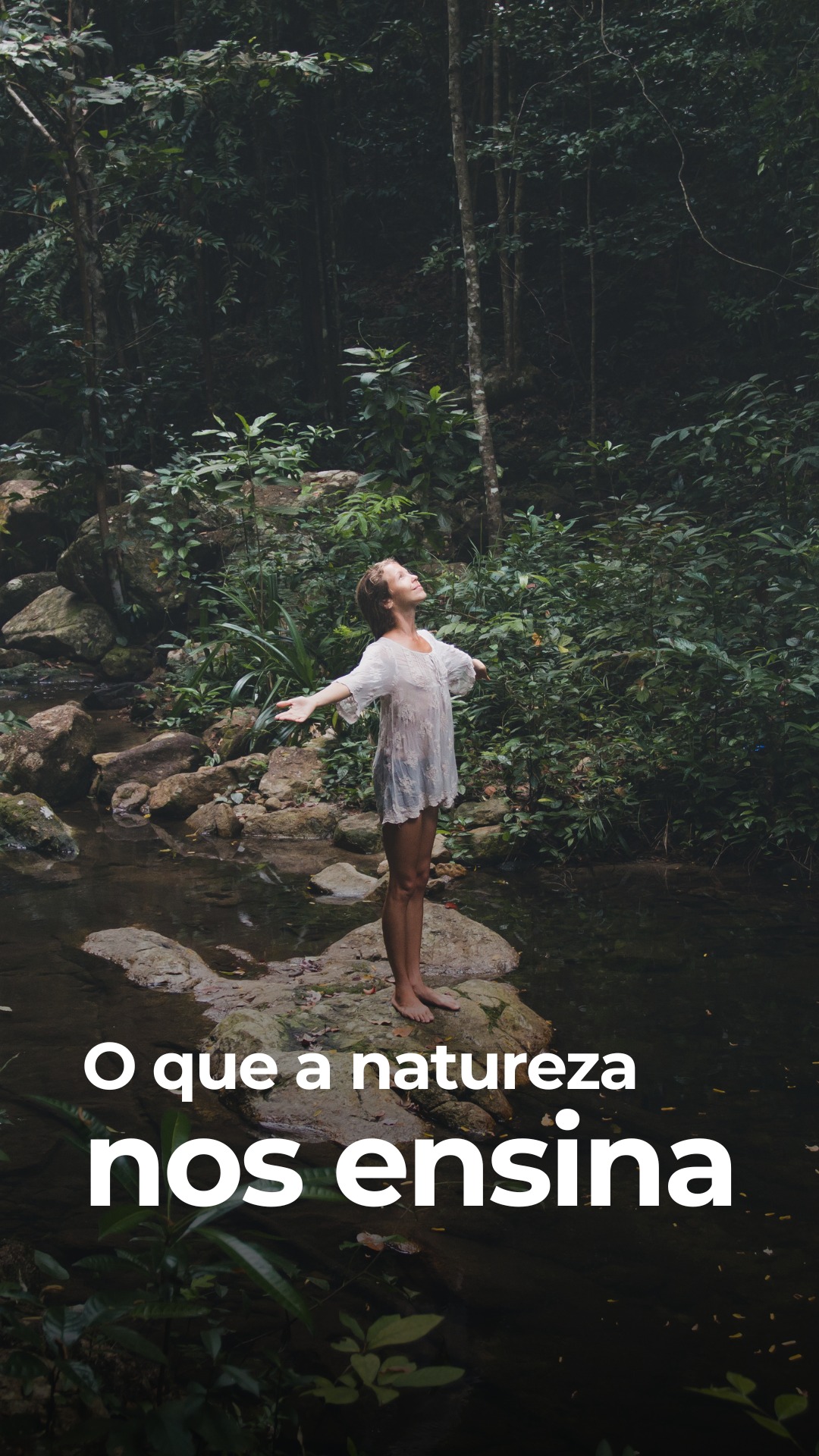 Durante muito tempo, nos ensinaram que liderança feminina era algo forçado, recente ou uma tentativa de imitar modelos masculinos, mas a própria natureza conta outra história.